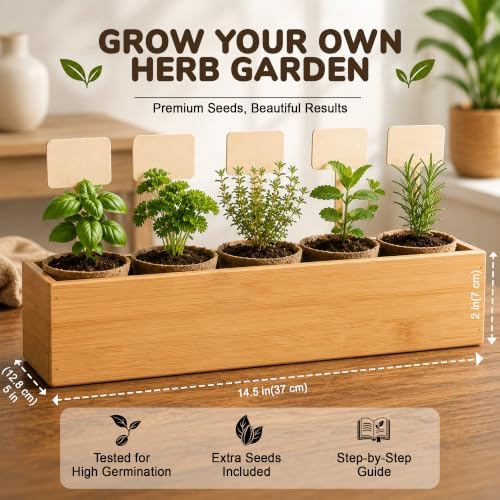 Bonsai Tree Kit - Bonsai Starter Kit with 5 Unique Japanese Bonsai Seeds - Image 7
