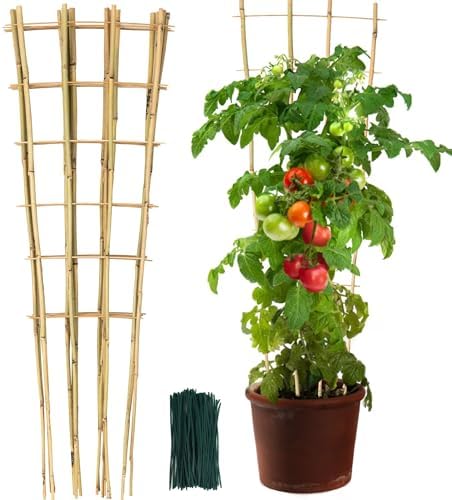 SWANGSA 6 Pack 4Ft Bamboo Trellis for Climbing Plants, Fan-Shaped Garden Ladder Trellis with 100pcs Twist Ties for Outdoor and Indoor Plant Support, Potted Plants, Cucumber, Tomato, Vine by SWANGSA