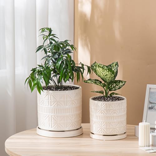 Ceramic Plant Pots Indoor-Outdoor: 8 Inch Embossed Planters with Drainage Hole & Saucer - Modern Decorative Flower Pots for Home Garden Patio Office Decor - Image 5