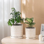 Ceramic Plant Pots Indoor-Outdoor: 8 Inch Embossed Planters with Drainage Hole & Saucer - Modern Decorative Flower Pots for Home Garden Patio Office Decor - Image 5