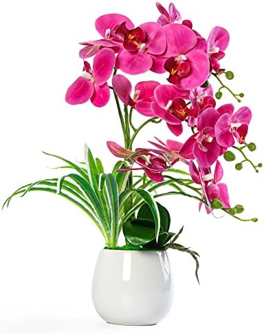 W&W Artificial Orchid Plants and Flowers with Vase, Fake Faux Orchid in Ceramic Pot,19”, Fuchsia by WWHomeDecor