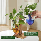 Plant Terrarium Propagation Stations with Wooden Stand - Image 3