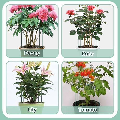 4 Sets Peony Support Cage,24"Diax32"High Heavy Duty Metal Plant Support,Grow Through Hoops Grids with 4 Thickened 6mm Legs,Strong Support Brace for Heavy Blossoms,Flower Support Ring for Peonies,Rose - Image 7
