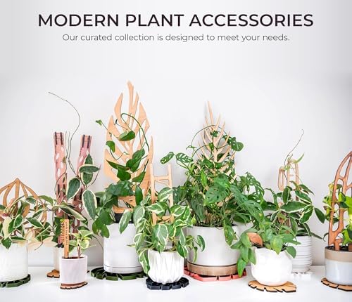 Treleaf Palmella Palm Leaf Inspired Wooden Trellis – Regular Size Indoor Plant Support for Climbing Plants – 12” Decorative Houseplant Trellis and Wooden Plant Stake for Potted Vines - Image 6