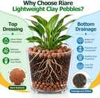 Riare 14LB Organic Leca Clay Pebbles for Plants, 4-16mm Drainage Leca Balls - Image 4