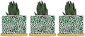 Leopard Green Planters Ceramic Green African Tribal Round Flower Pot with Drainage Holes and Bamboo Tray Pot for Succulents Cactus Garden Windowsill by BRUYU5SE