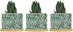 Leopard Green Planters Ceramic Green African Tribal Round Flower Pot with Drainage Holes and Bamboo Tray Pot for Succulents Cactus Garden Windowsill by BRUYU5SE