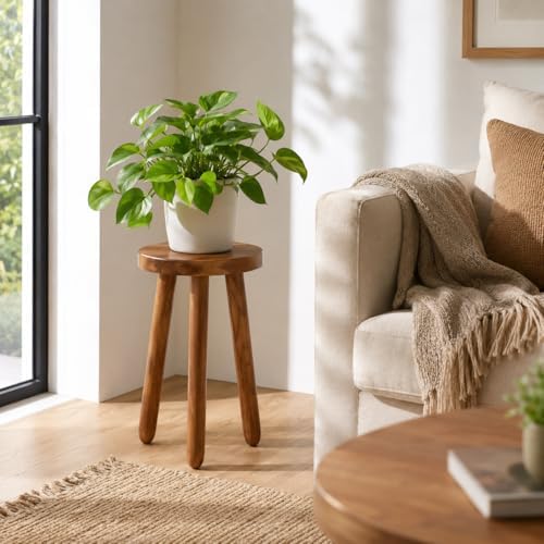 Teak Wood Plant Stand, 24" Round Side Table, Wood Accent Table - Image 4