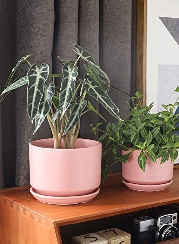 LE TAUCI Ceramic Pots for Plants, 4.3+5.3+6.8 Inch, Set of 3, Pink - Image 2