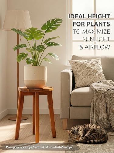 Demigo 15 in Tall Plant Stand, Acacia Plant Shelf for Indoor & Outdoor Use - Image 5
