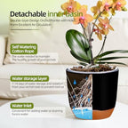 QCQHDU 2 Pack 7.2 Inch Orchid Pots with Holes for Repotting, Double-Layer and Self Watering Orchid Pot with Good Air Circulation - Image 3