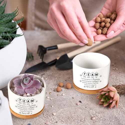 12 Pcs Team Appreciation Gifts for Employees Succulent Pots - Image 4
