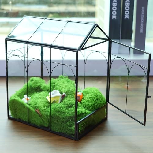 HighFree Geometric Plant Terrarium with Lid (Black with Side Door) - Image 4