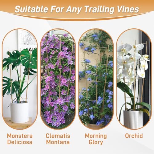 10 Pack 4ft Bamboo Trellis for Climbing Plants, Fan-Shaped Garden Support - Image 6