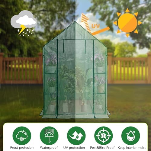 Heyfurni Walk in Greenhouse with Shelves,Walk-in Plant Green House with Durable Green PE Cover, 3 Tiers 6 Shelves Stands with Ground Pegs & Ropes for Stability, 56"x28"x76" - Image 5