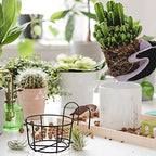 12 Pcs Hanging Railing Planters 6 Inch Flower Pot Holders Black Potted Stand Railing Planter Iron Rack Balcony Planter Basket Small Shelf Container for Indoor Outdoor Balcony Fence Garden Flower Pot - Image 7