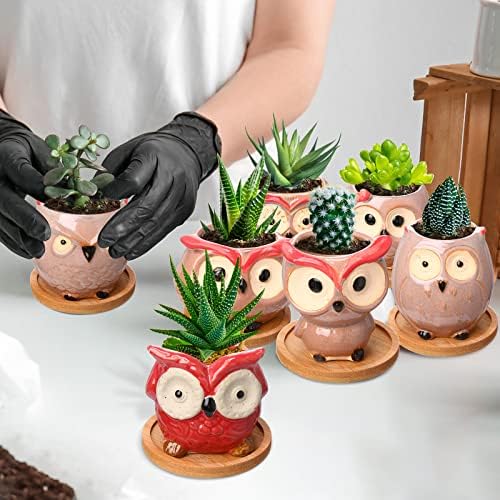 Cindeer 18 Pcs 2.5 Inch Owl Ceramic Succulent Planter Pots Mini Small Ceramic Pots with Drainage Hole and Bamboo Tray for Succulents Glaze Cactus for Home Garden Office Desk Decoration Gift Ideas - Image 5