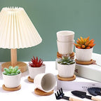 Hsei 24 Pack 2.5 Inch Mini Ceramic Succulent Pots with Bamboo Trays, White - Image 3