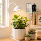 GLOWRIUM Smart Grow Lights for Indoor Plants,Full Spectrum Desk Plant Light by GLOWRIUM