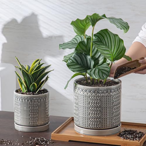 Indoor-Outdoor Ceramic Plant Pots: 6 Inch Flower Pots with Drainage Hole & Saucer - Decorative Ceramic Pots for Plants Herbs Succulents - Home Garden Patio Lawn Use - Image 4
