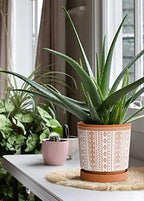 D'vine Dev Geometric Terracotta Planter, 8.2 in, Red/White, 33-958-A-1 - Image 2
