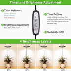LORDEM Desk Grow Light, Full Spectrum LED for Indoor Plants, 2 Pack - Image 4