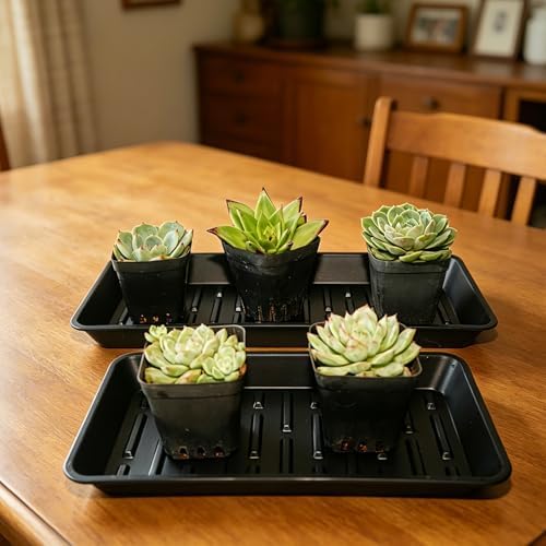 4 Pack Plastic Plant Tray Saucer Rectangular 17 18 Inch, Planter Trays Saucers for Indoor Outdoor, Plant Water Drip Trays, Windowsill, 7.7 x 17.5 Inches, Black - Image 6