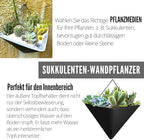 LaLaGreen Bundle- 10 Pack, 4 Inch Black Metal Pot + 4 Pack, 12 Inch Self Watering Pot Geometric Hanging Vertical Wall Mounted Flower Vase Balcony Porch Home Decor Succulent Herbs Plant Holder Garden - Image 5