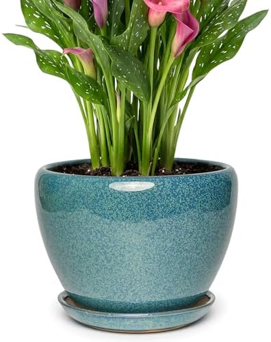 9.5 Inch Ceramic Plant Pot with Drainage Hole Mesh Net,Modern Gardening Pots for Indoor Plants with Saucer, Crackle Blue by Unknown