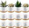 Fumete 24 Set Religious Gift Bulk Bible Verse Succulent Pots, Scripture by Fumete