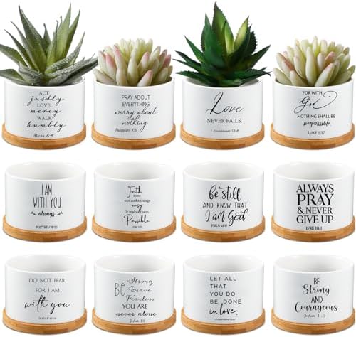 Fumete 24 Set Religious Gift Bulk Bible Verse Succulent Pots, Scripture by Fumete