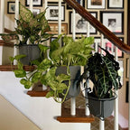 Bloem RailScapes Railing Plant Clip for 1/2" - 3/4” Narrow Spindles, 3-Pack - Image 5