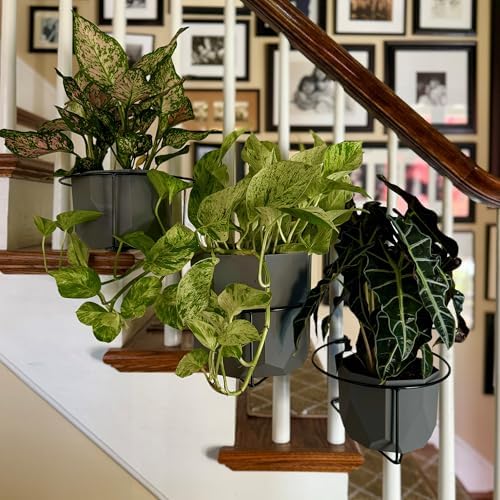 Bloem RailScapes Railing Plant Clip for 1/2" - 3/4” Narrow Spindles, 3-Pack - Image 5