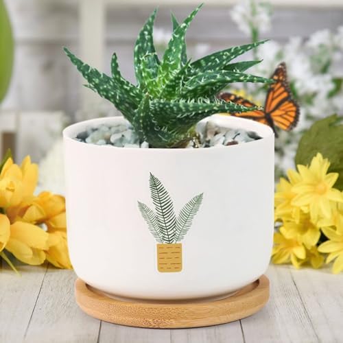 DreamAutumn Plants Ceramic Flower Pots Set of 3,Gardening Plant Pot with Drainage Holes and Saucers Round Ceramic Pots for Indoor Plants Succulent Herbs Cactus Pots by DreamAutumn