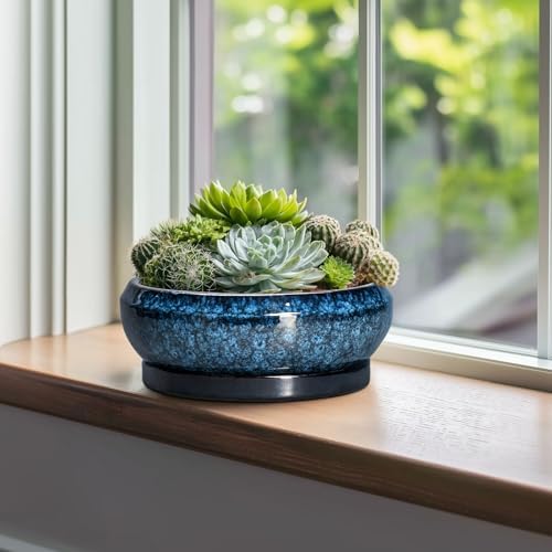 Bonsai Tree Pots 10 Inch - Ceramic Succulent Pot with Drainage Hole and Saucer, Bonsai Pots for Indoor Outdoor, Round Succulent Planter, Shallow Planter, Desk Decor, Plant Lover Gifts, Blue - Image 4