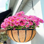 LaLaGreen Yard Hanging Baskets (20 in, 2 Pack) Black Coco Liner Garden Pots by L%C3%A1L%C3%A1Green