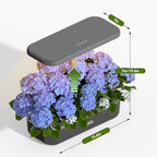 Hydroponics Growing System, 12 Pods Indoor Herb Garden Kit w/Full-Spectrum 36W Grow Light, Indoor Herb Garden Automatic Timer, Height Adjustable 3.5L Water Tank, Gifts for Men Women (Grey) - Image 4