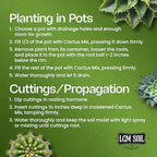 Cactus & Succulent Soil Mix, 0.5 Cu Ft - Image 6