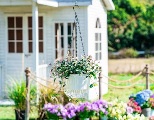 Melphoe Self Watering Hanging Planters Indoor Flower Pots, (8.3’’+6.5’’+5.3''+4.7'' 4Pack) - Outdoor Hanging Plant Pot Basket, Plant Hanger with 3Hooks Drainage Holes for Garden Home (White) - Image 4