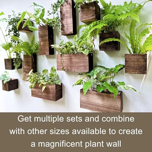LaLaGreen Wood Planter Box for Plants (6 Pack) Wall Planters for Indoor - Image 5