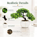 9.5 Inch Artificial Bonsai Tree with Ceramic Pot - Decorative Fake Plant for Home Office Living Room Window Sill, Fake Plants for Year-Round Decoration（White） - Image 2