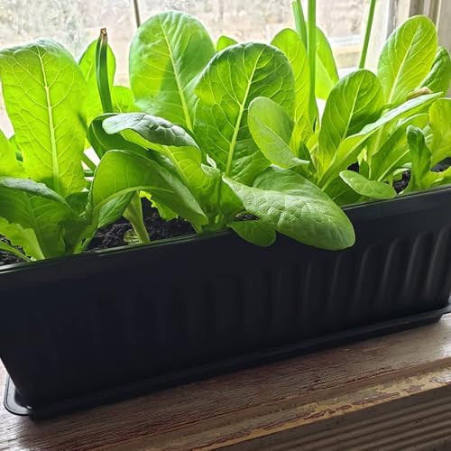 JOIKIT 17 Inches Black Plastic Planter Box, 6 Packs, Good Drainage, Indoor Outdoor Usage, for Garden, Windowsill, Patio, Balcony - Image 6