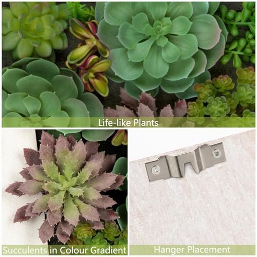 Wall Artificial Succulent Hanging Decor Plants Fake Succulents String of Pearls Arrangement with Wooden White Frames Faux Plants Hanging Boho Decor for Livingroom Bedroom Home Decor 10.2"x 2.3"x 13.7" - Image 3