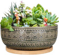 EPGardening 8 Inch Ceramic Succulent Planter Pots with Bamboo Saucer, Gray by GEPGardening