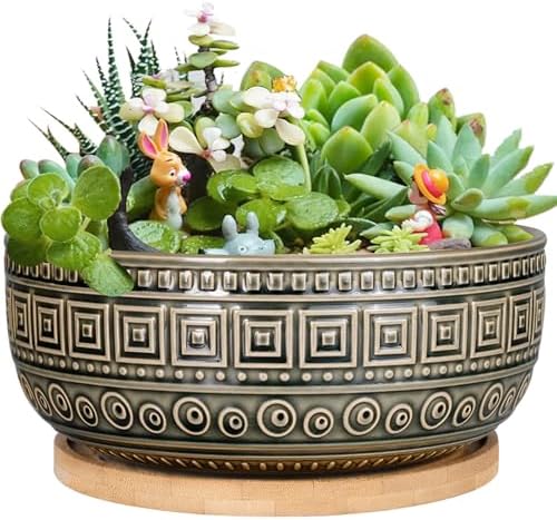 EPGardening 8 Inch Ceramic Succulent Planter Pots with Bamboo Saucer, Gray by GEPGardening