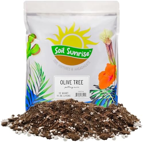 Soil Sunrise Olive Tree Potting Soil Mix (12 Quarts) for Planting, Repotting, and Growing Olive Bushes/Plants by SoilSunrise