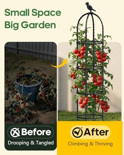 2 Pack 6.2ft High Adjustable Garden Trellis for Climbing Plants, Black - Image 2