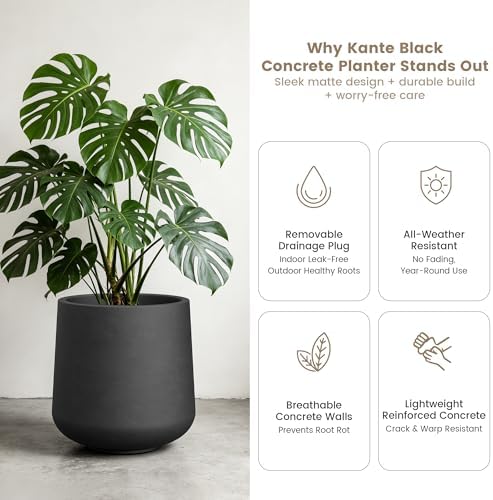 Kante Accent Round Curved Black Concrete Planter 13" Dia, Outdoor - Image 5