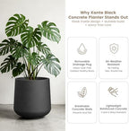 Kante Accent Round Curved Black Concrete Planter 13" Dia, Outdoor - Image 5