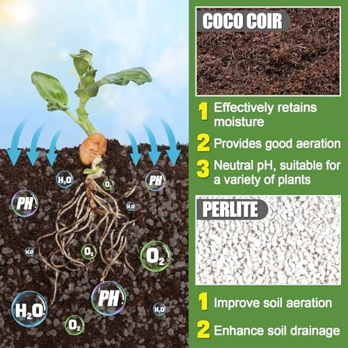 Coco Coir Perlite Mix - Retain Moisture, Improve Drainage & Aeration - Coco Peat Perlite Potting Mix, Loose Organic Potting Soil for Indoor Plants, 10 Quarts - Image 2